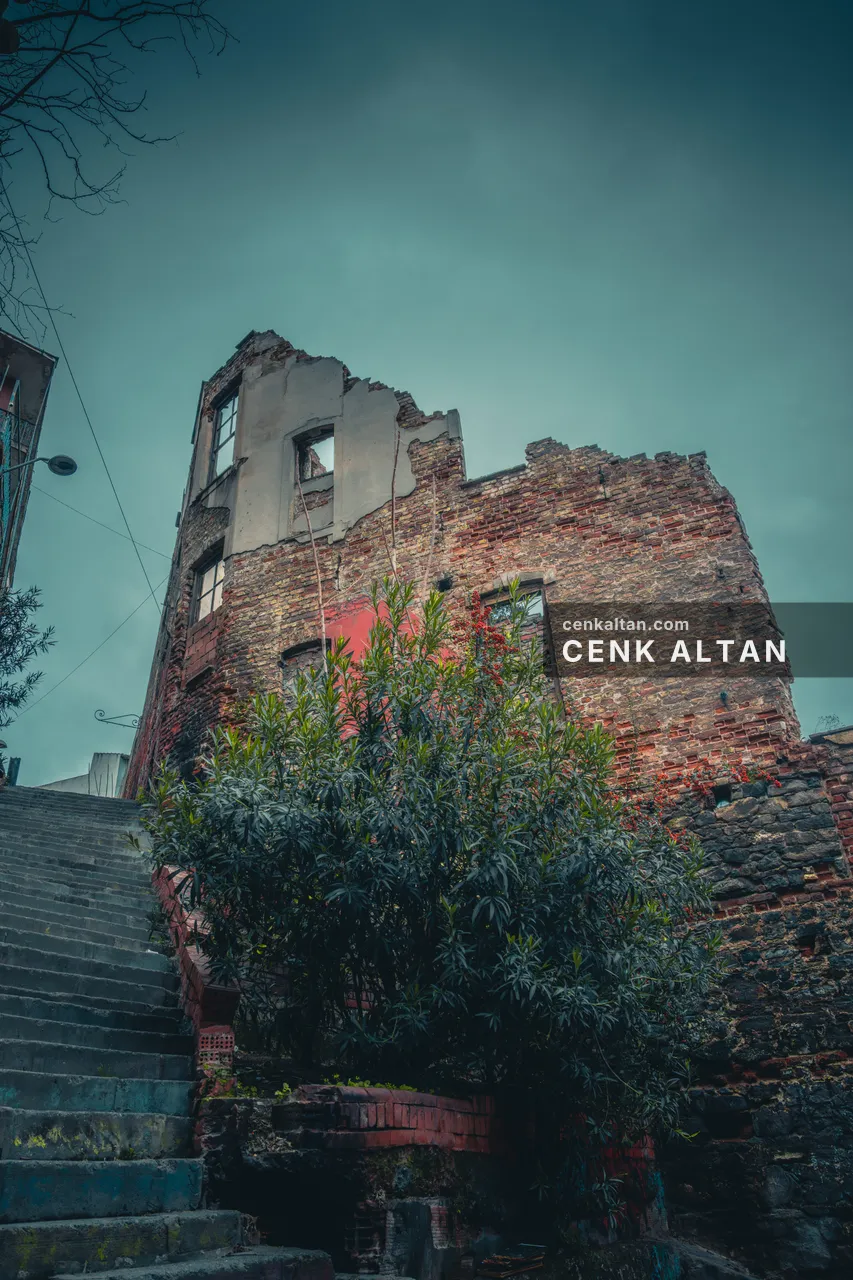 Yeşilliklerin sardığı yıkık taş bina ve önünde merdiven
