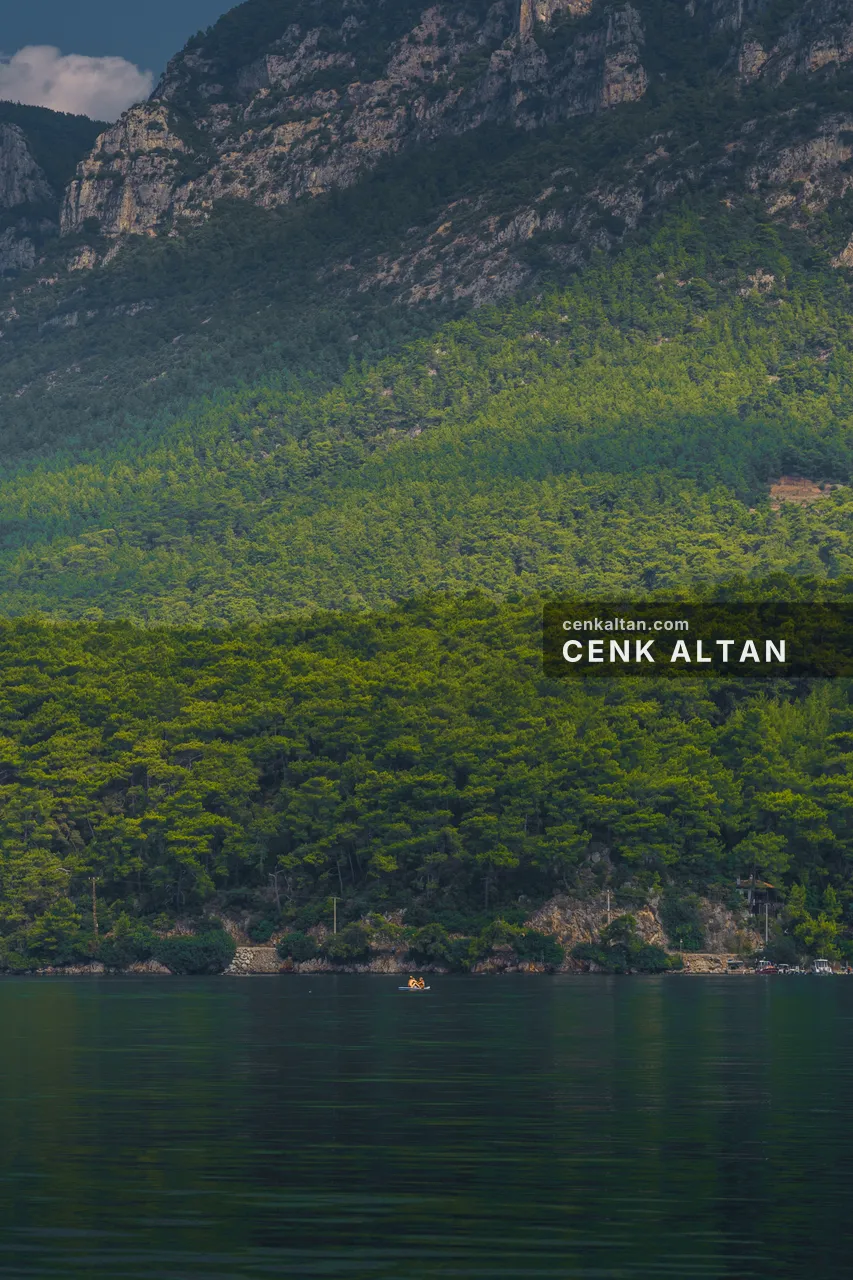 Denize inen çam kaplı yamaç