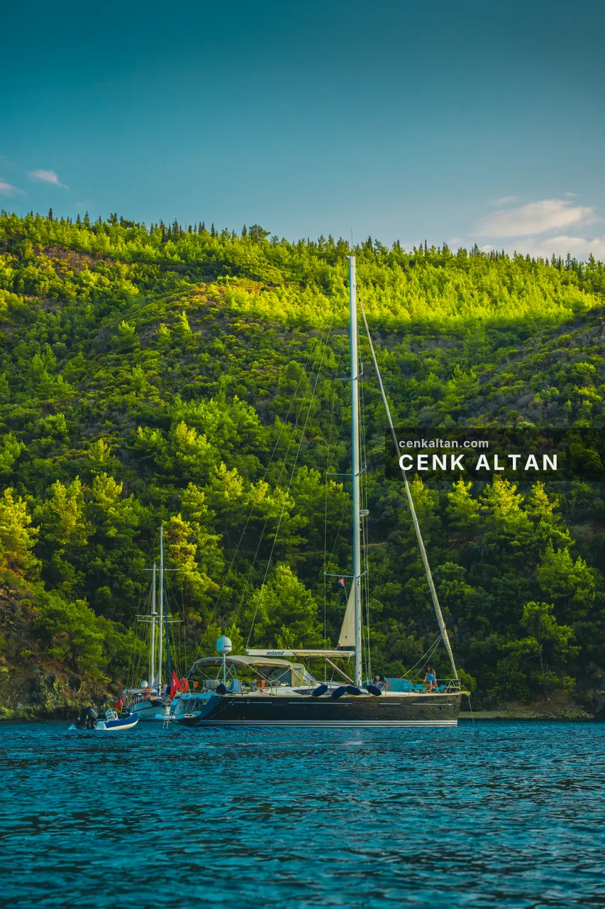 Yeşil yamacın önünde koyda demirli yelkenliler