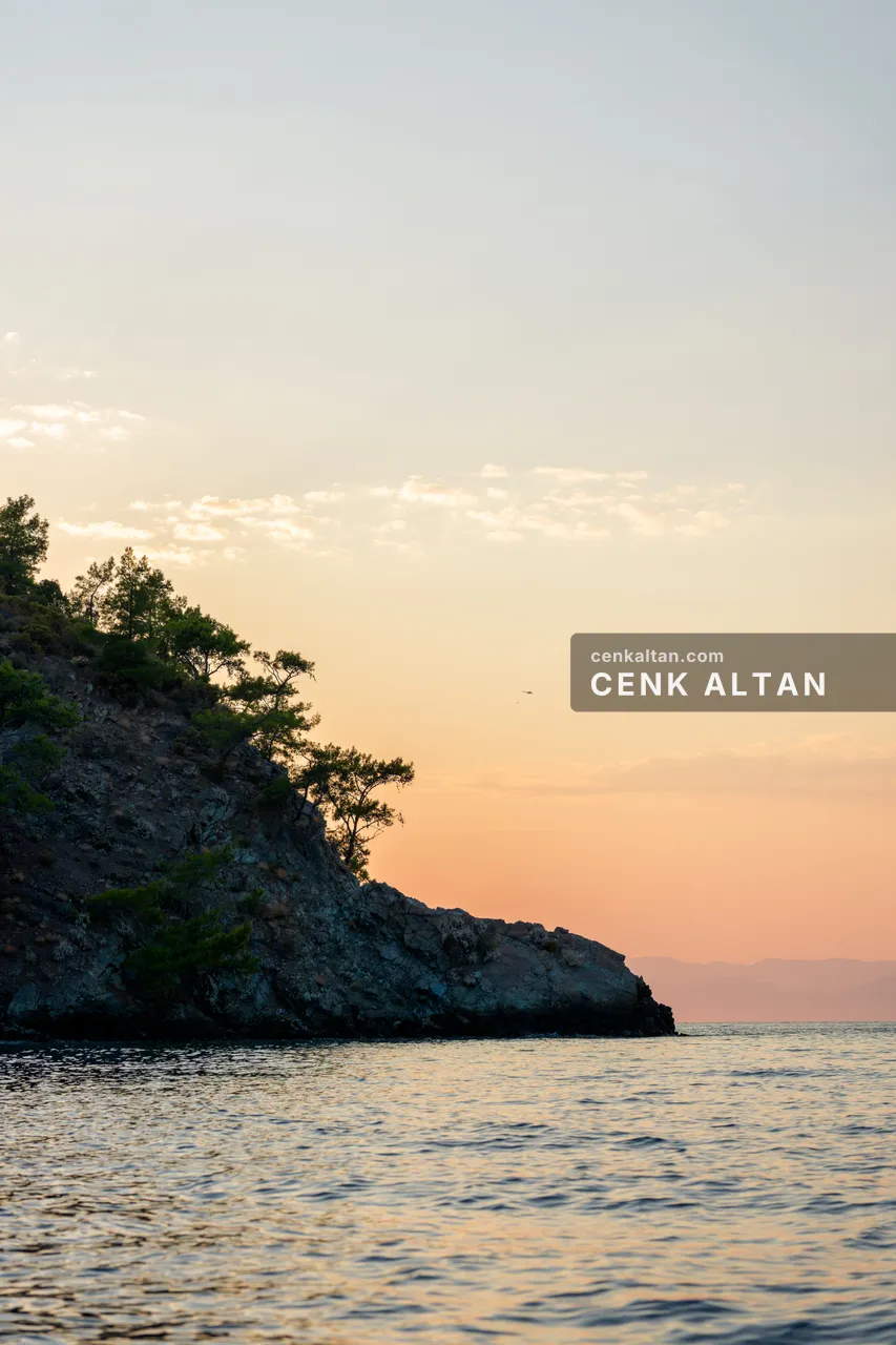 Sabah ışığında çam kaplı burun ve sakin deniz