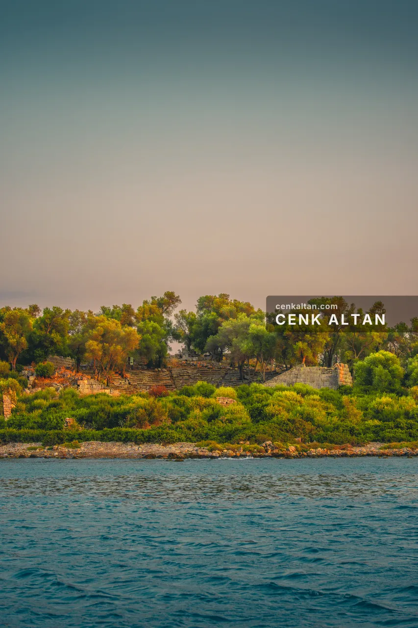 Ağaçlarla kaplı küçük ada ve önünde deniz