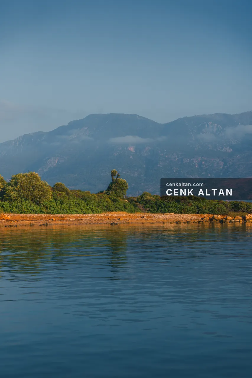 Kıyıda tek ağaç ve arkada bulutlu dağlar